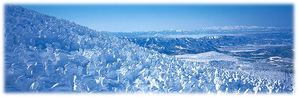 「蔵王の樹氷」を見に行くには・・・