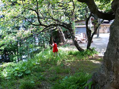鮎貝八幡宮