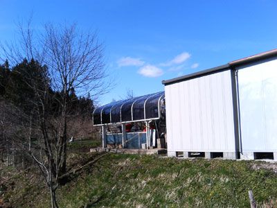 屋根張り替え