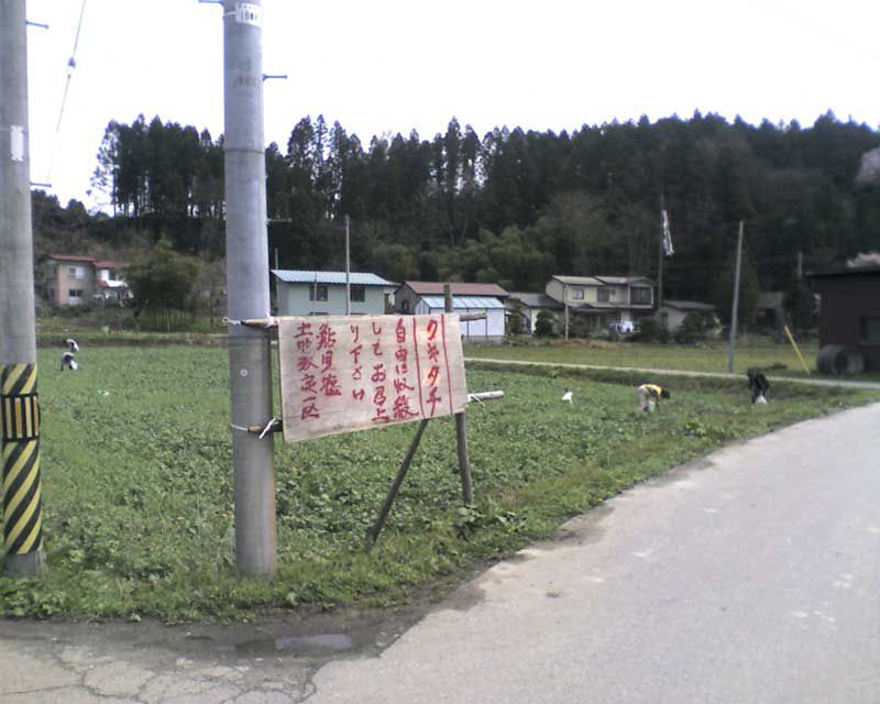 白鷹町箕和田公民館前