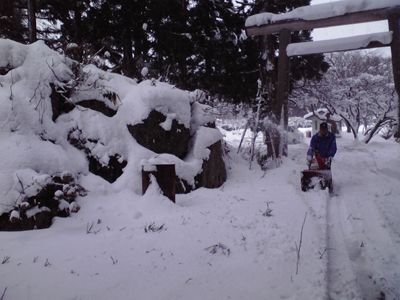 積雪