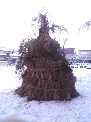 斎塔焼