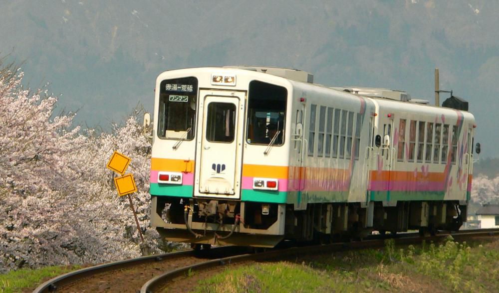 フラワー長井線と桜