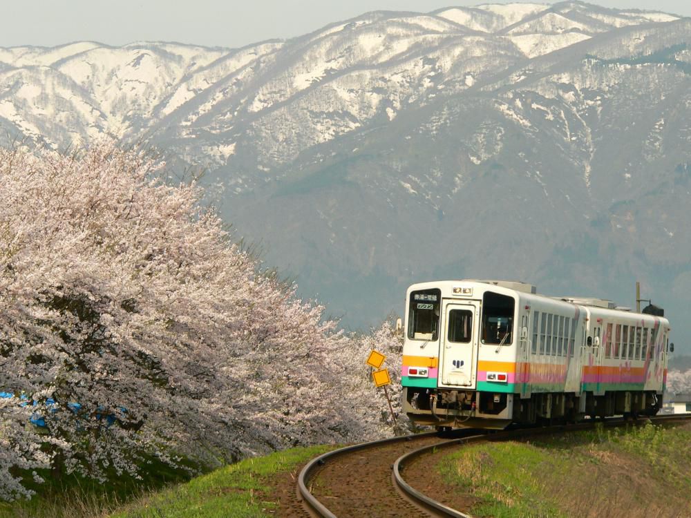 フラワー長井線