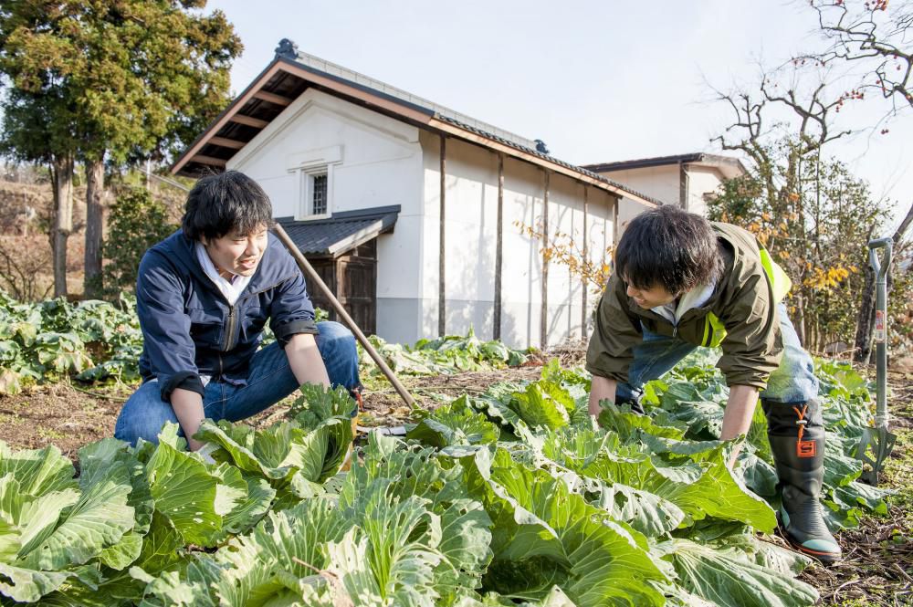 週末は山形で「農園ランチ」春満開！春メニュー新装開店！
