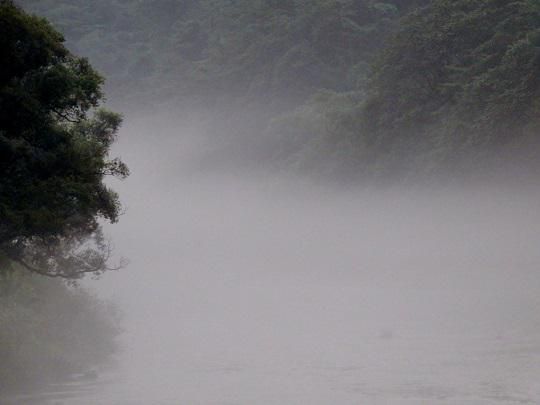 川霧～一年前を振り返ろう！～