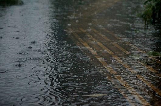 雨すごい・・・。