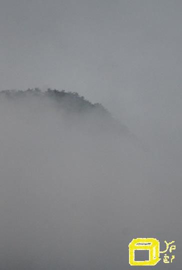 朝霧って感じのしない朝霧