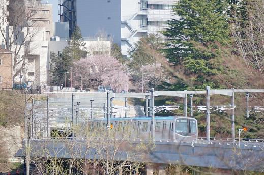 桜と東西線