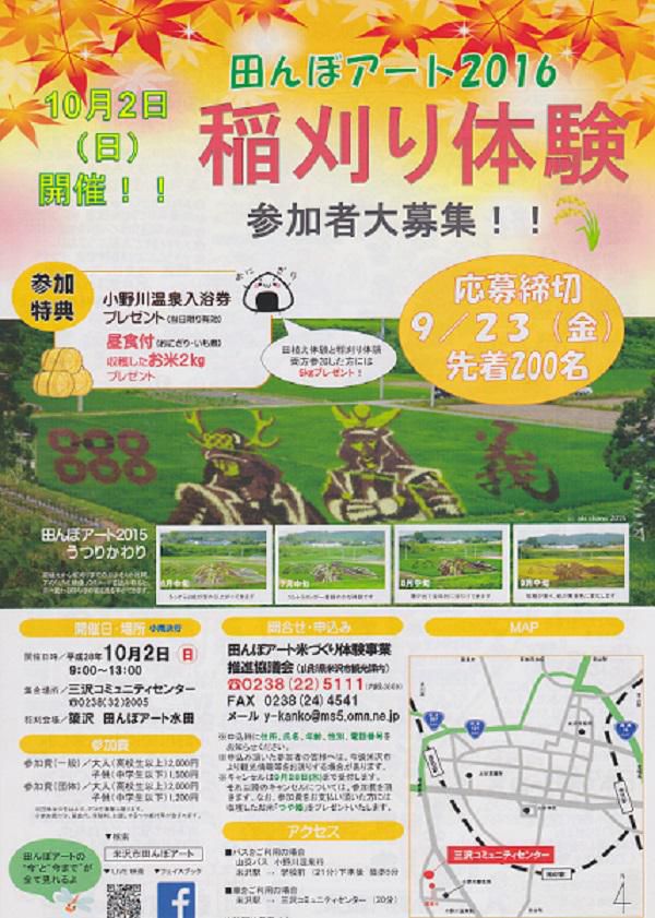 Rice Paddy Art  Rice Harvesting! 