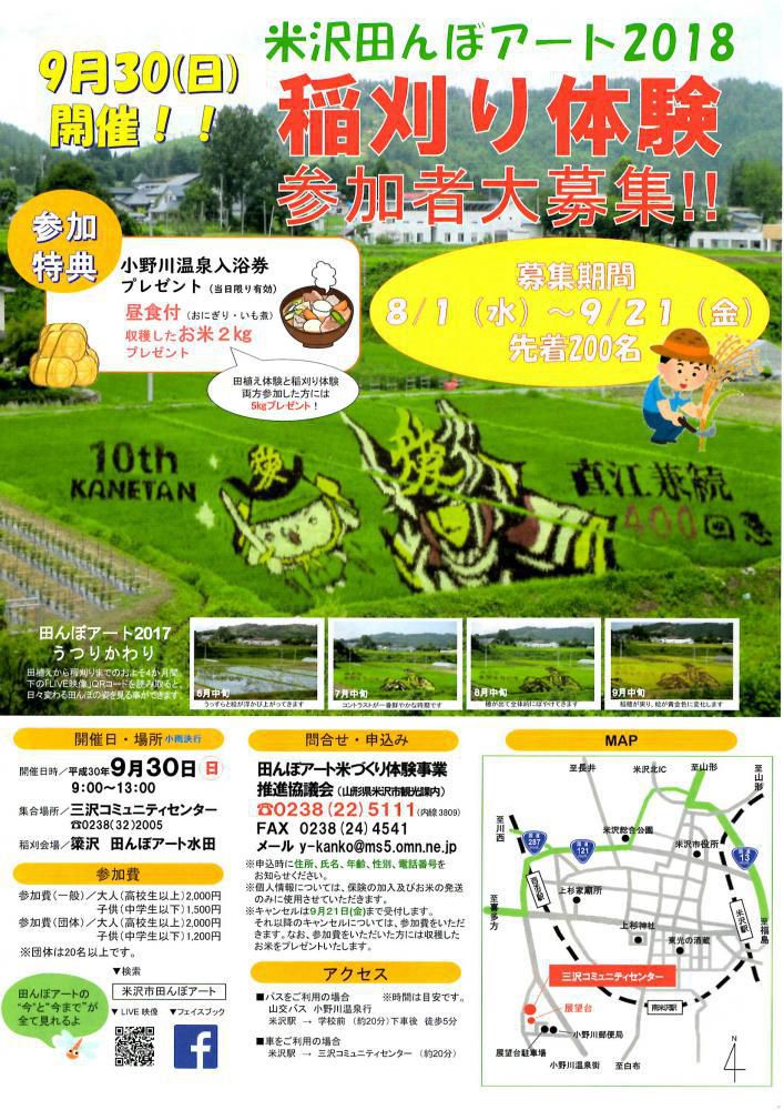 Rice Paddy Art Harvest! 