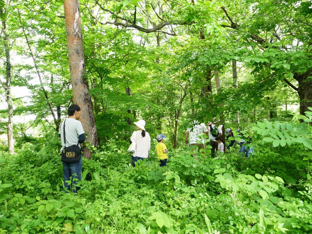 Kids Camp Songs! 英語で歌おう！ YIRA Kids Club