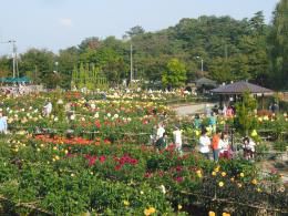 かわにし秋祭り（川西町）