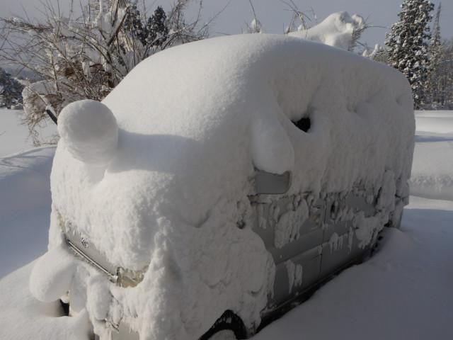 １月２７日（土）雪のち晴ときどき吹雪　その１