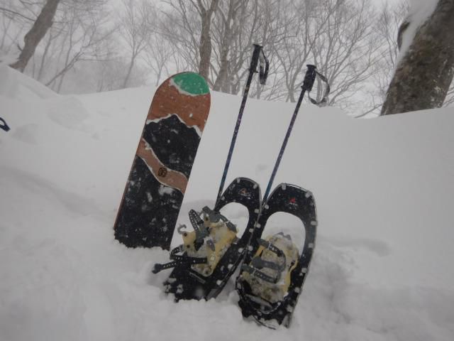 雪があるとこんな人生や暮らしがある