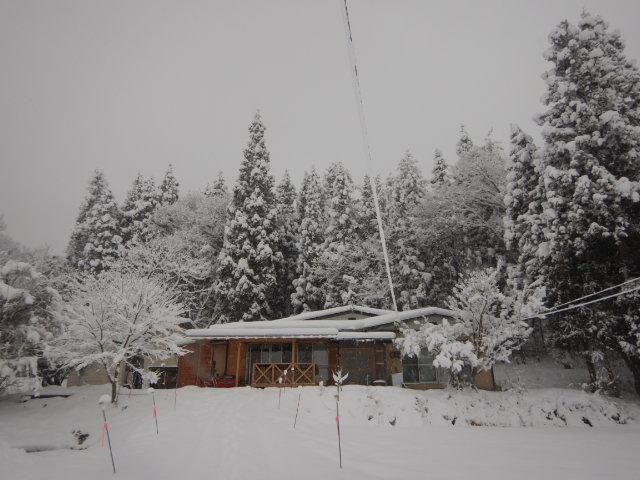 1/2（土）　雪
