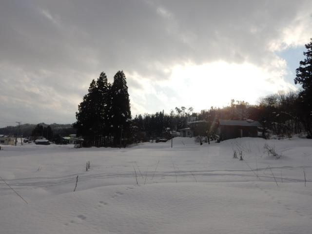 1/13(水)　曇り