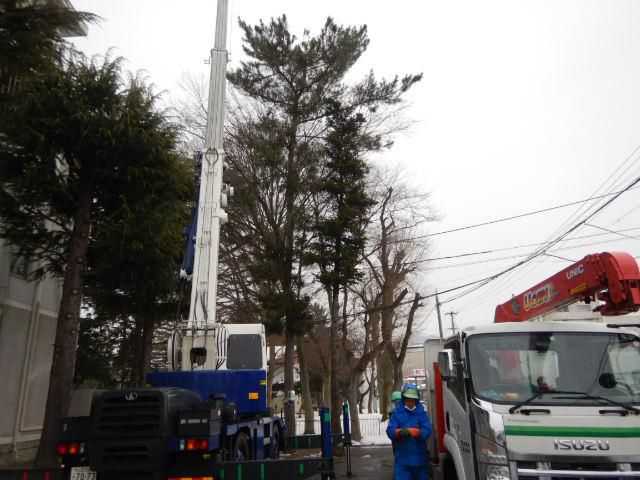 1/16（土）　曇り