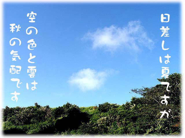 雑感8(地域の羅針盤)