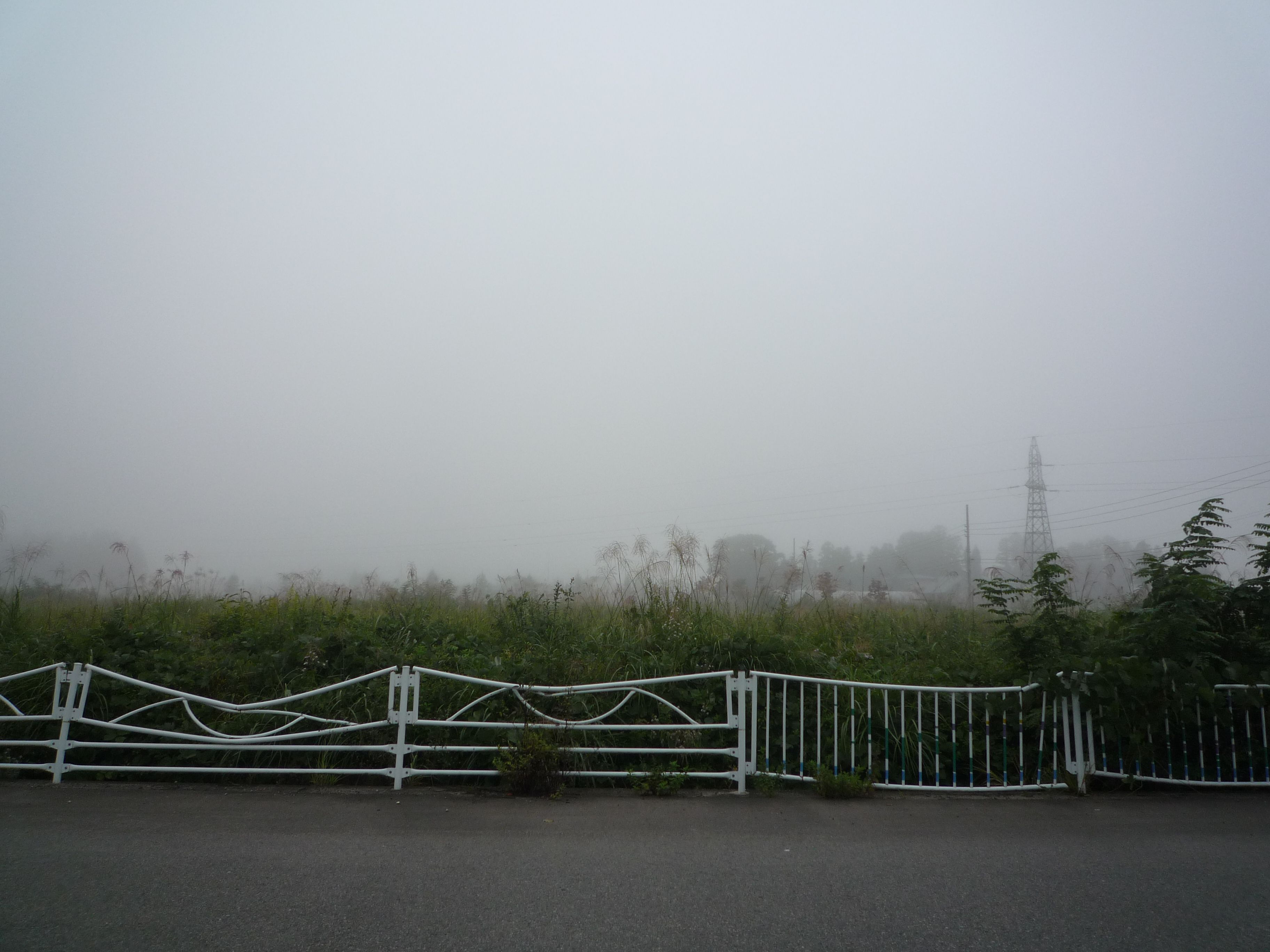 五里霧中