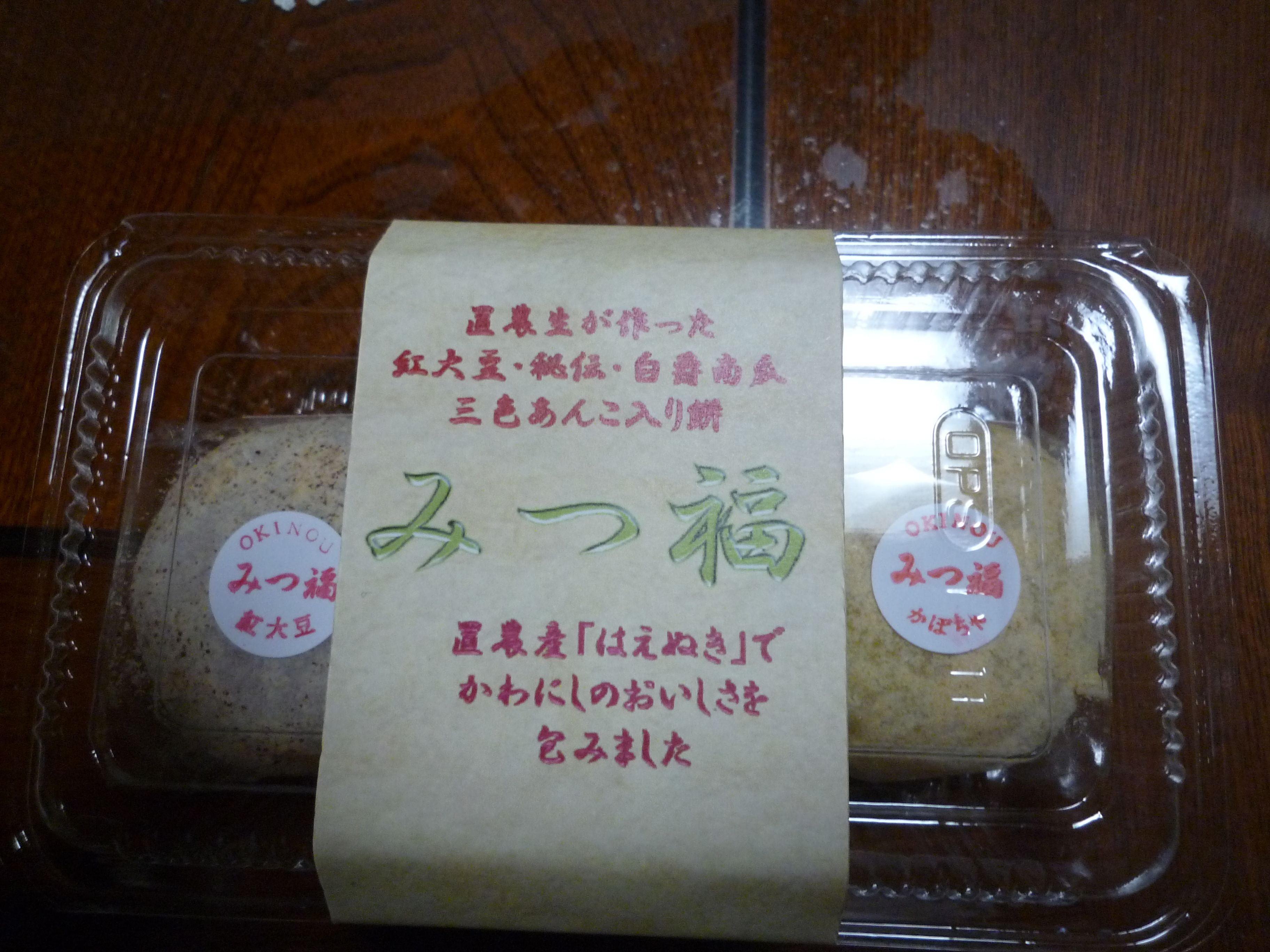 置賜農業高校訪問