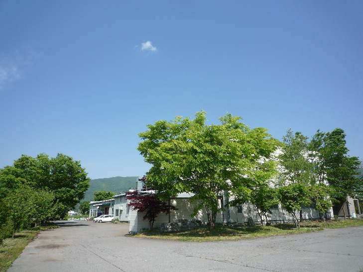 朝の心
