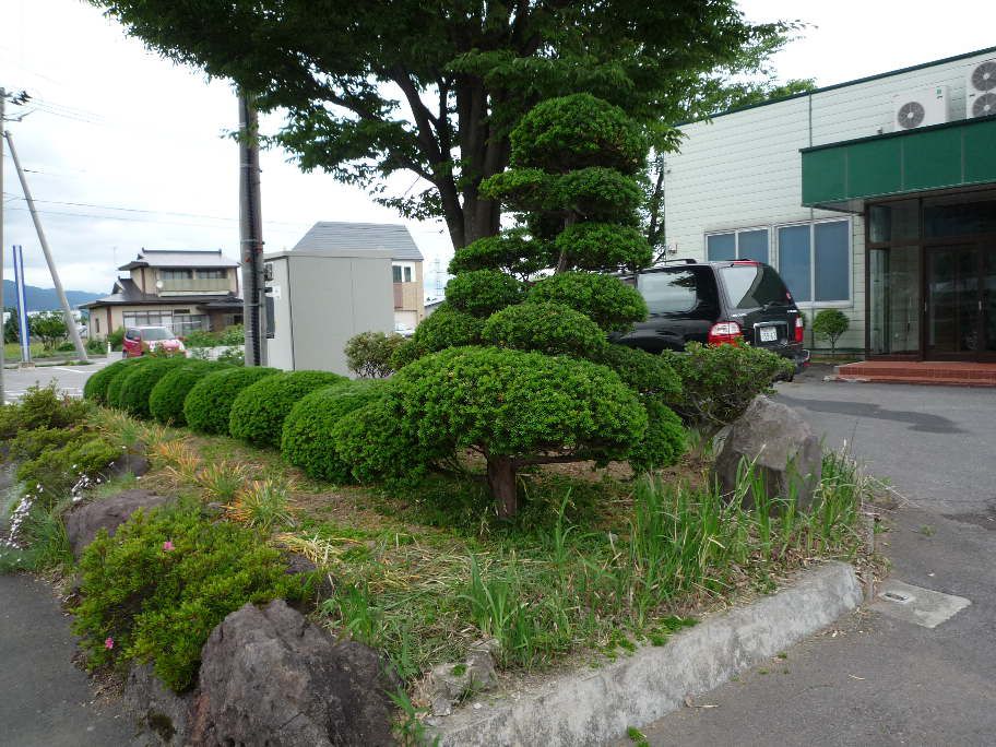 会社の庭師 H課長