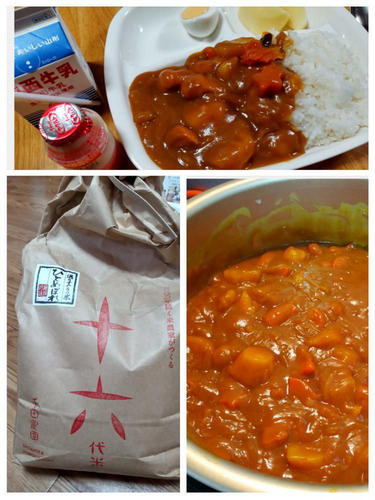 カレー食べました