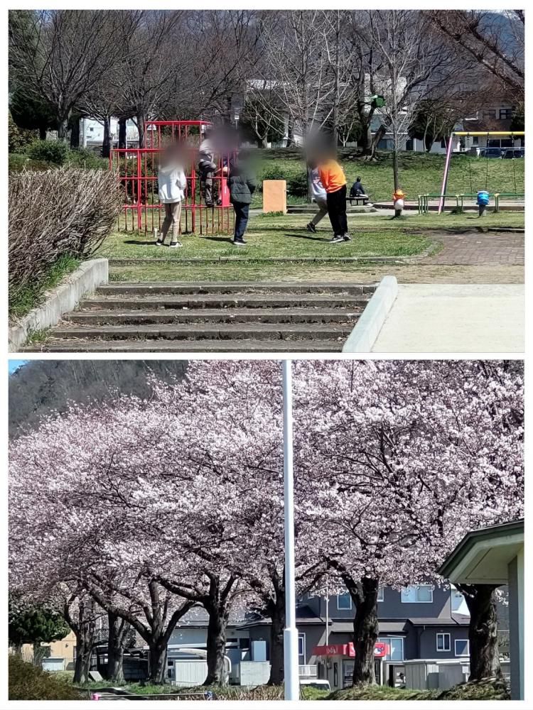 お花見＆サッカー