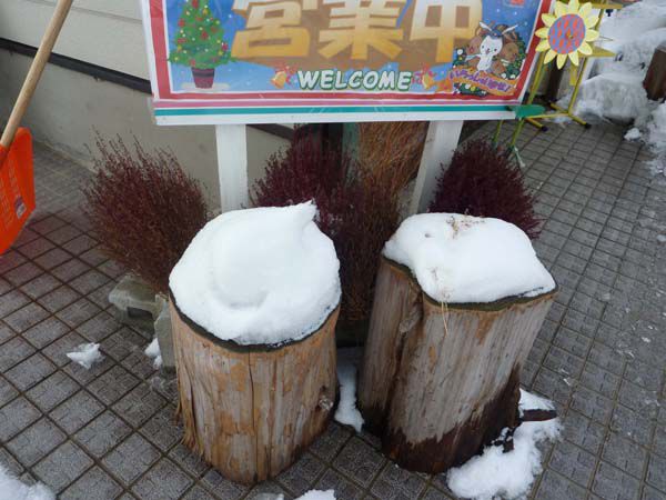 一昨日からの積雪も一段落（ー。ー；）