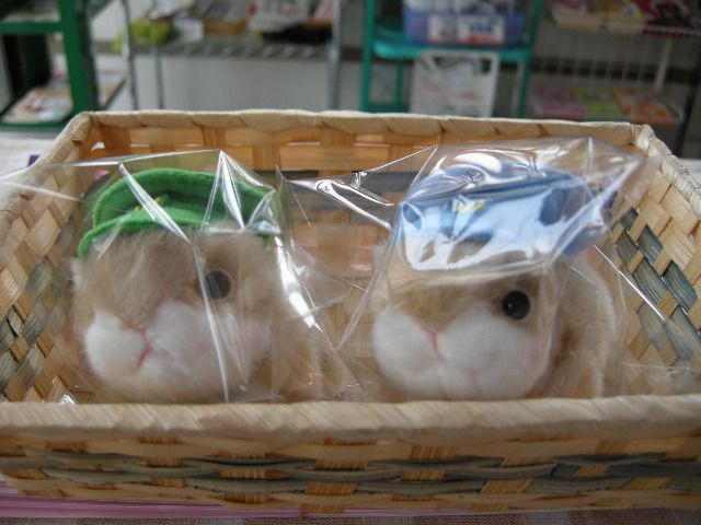素朴な疑問