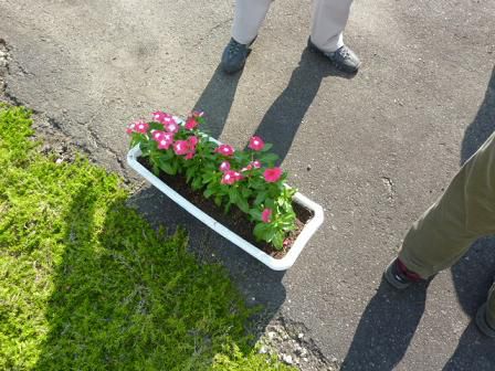 明日はいよいよ長井線まつりです！