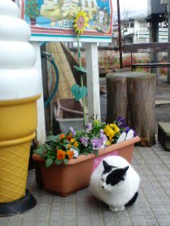 新たな駅長…？！