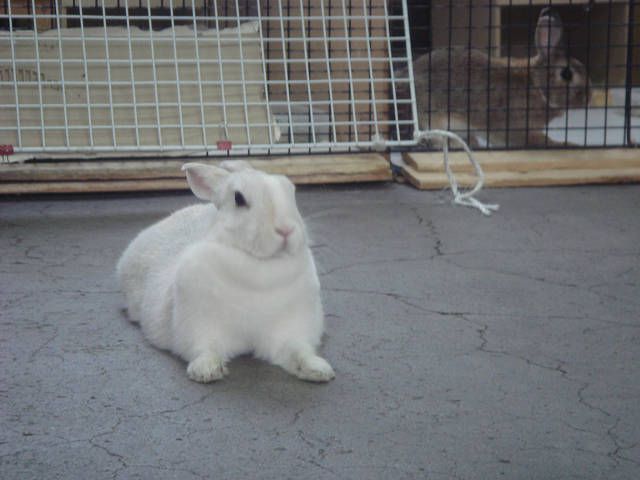 3才になりました！！
