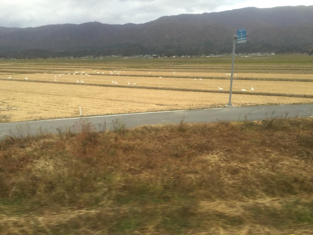 はじまり。