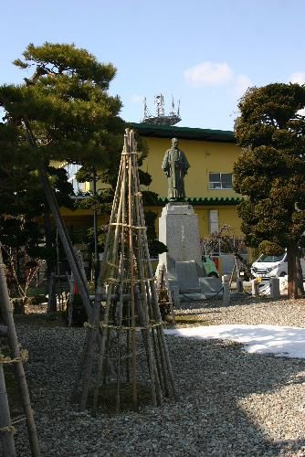 三重県津市の結城神社からのしだれ梅が間もなく咲きそう？