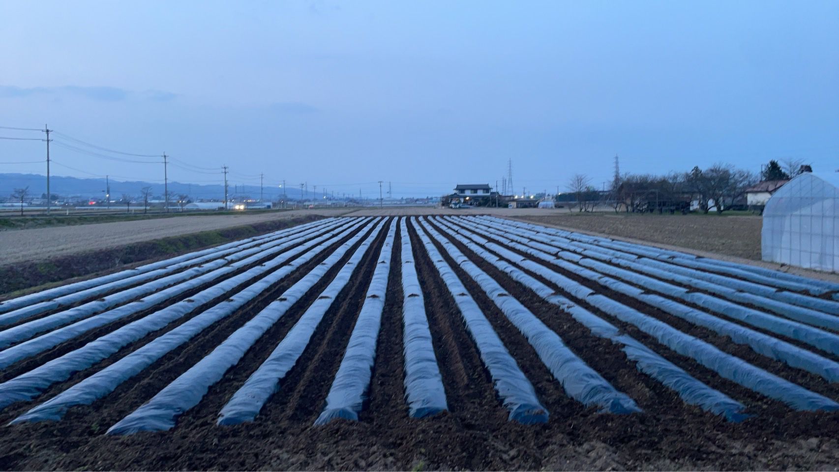 いよいよスタート！