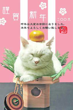 あけましておめでとうございます。