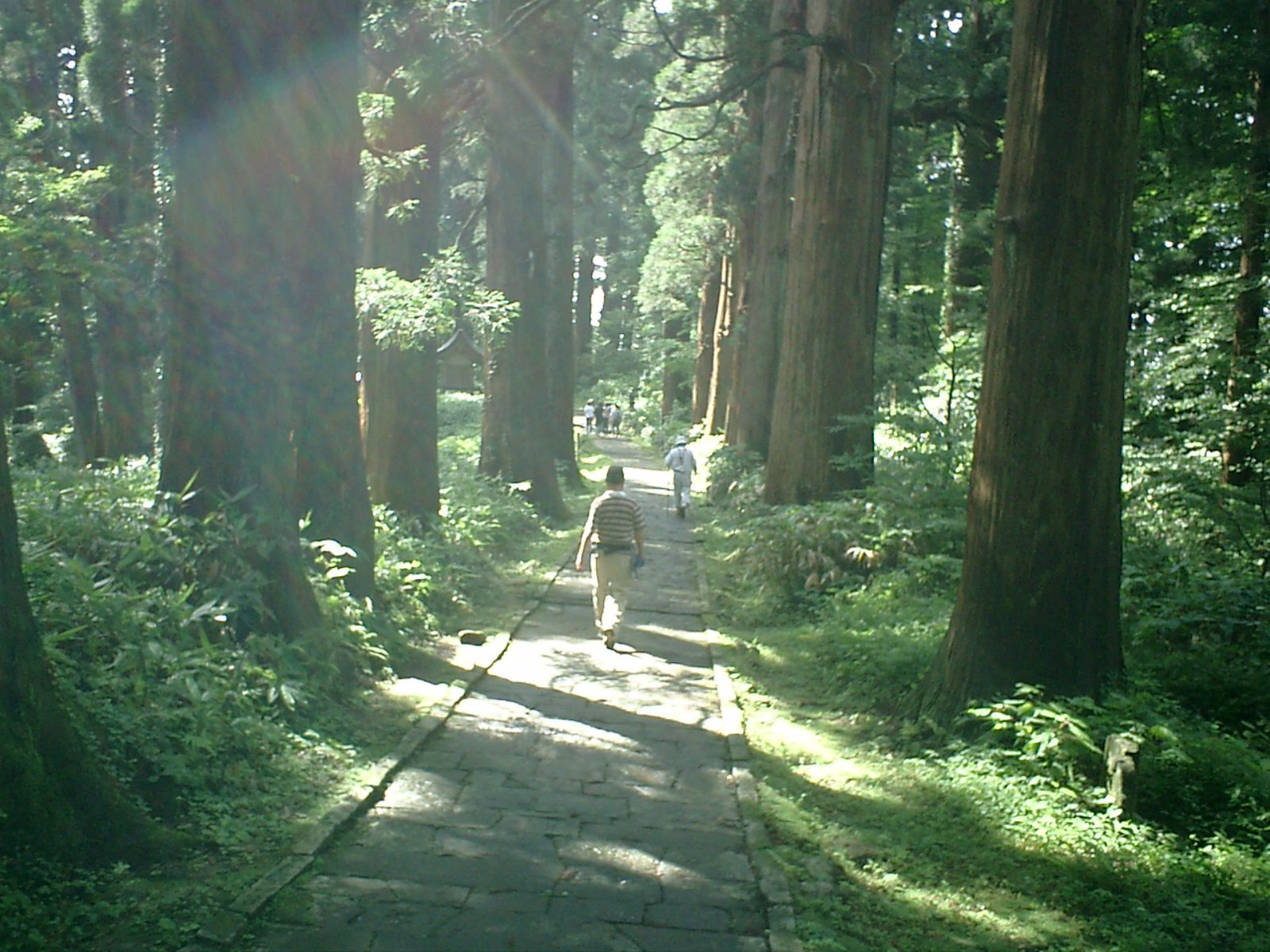 恒例の羽黒山参拝