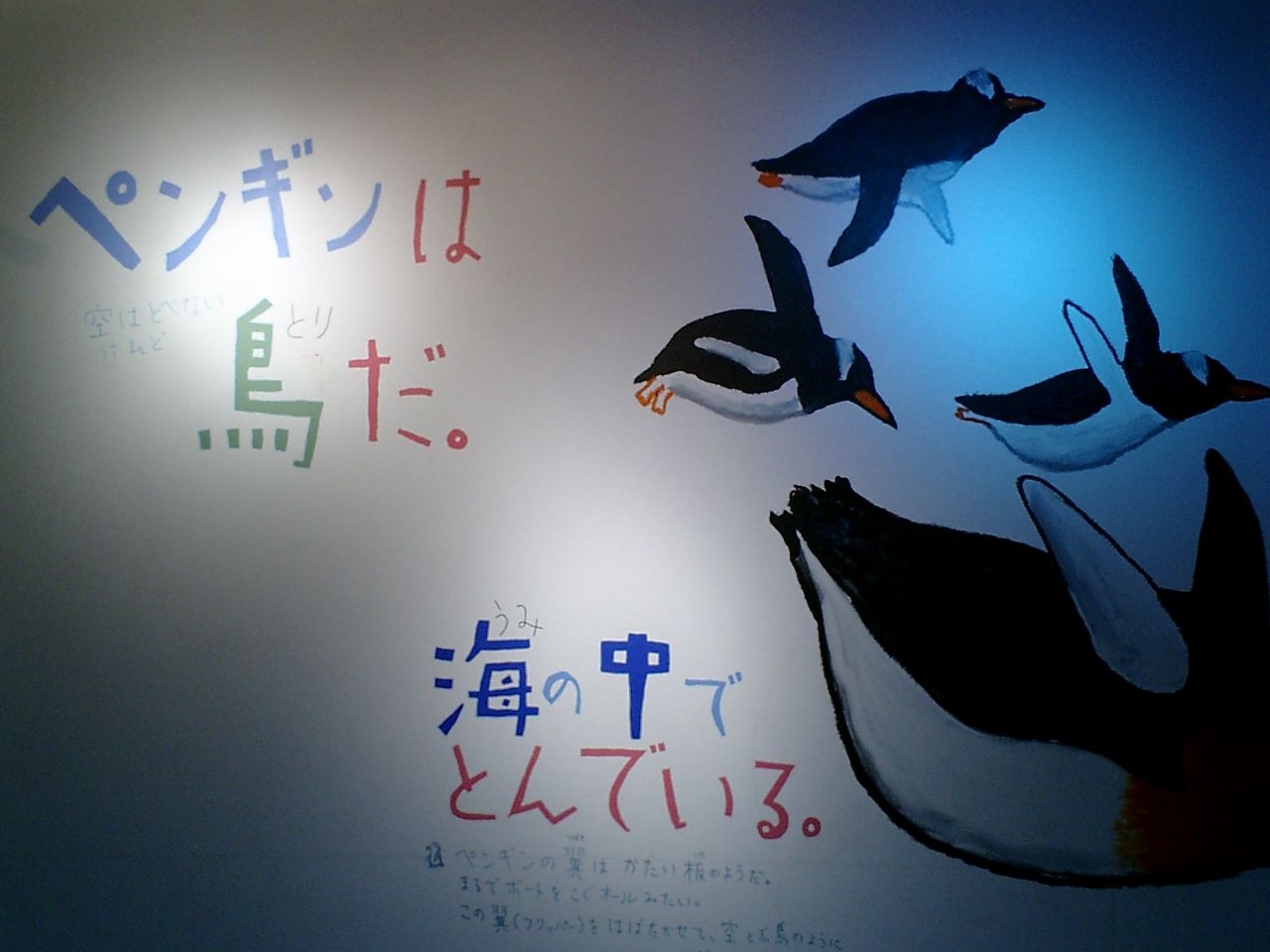 ビバ☆北海道!!