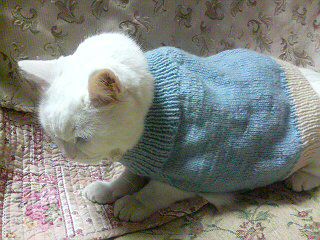 もう一人の家族。