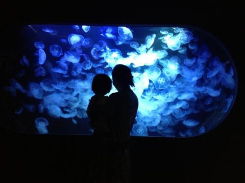 海とクラゲと…