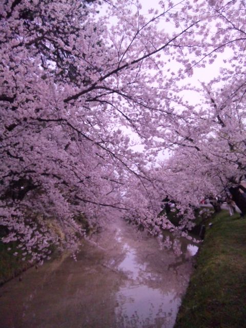 弘前公園お堀