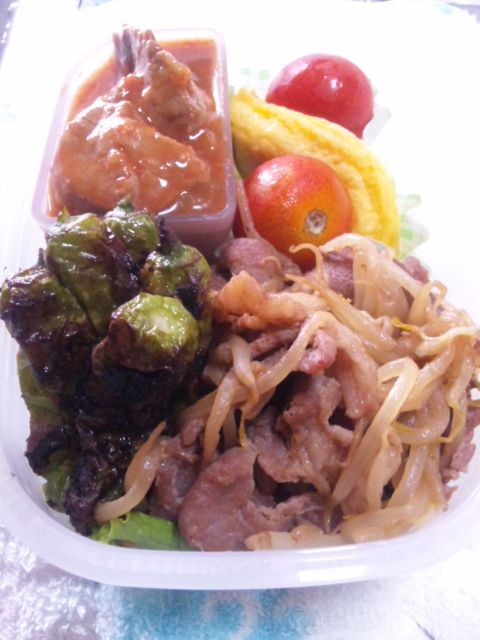 今日のお弁当