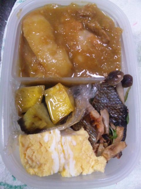 今日のお弁当