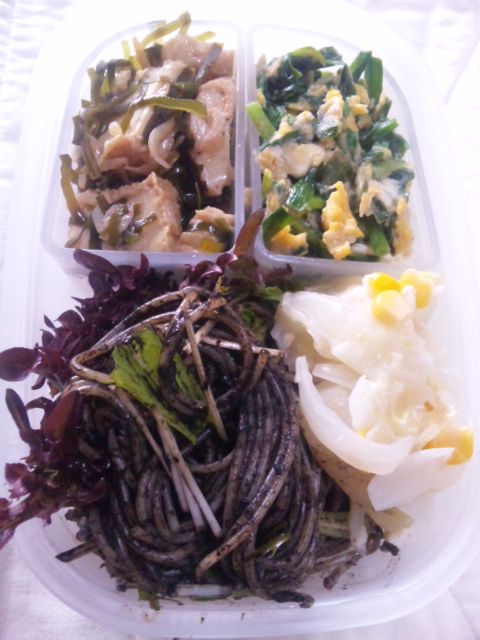 今日のお弁当