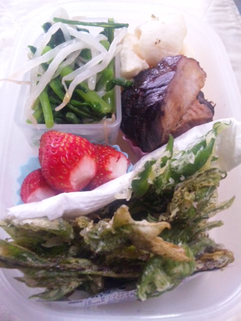 今日のお弁当