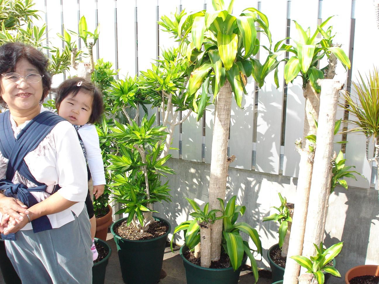 過去の生き様の中からやっと探し当てたライフワークが目の前に有った(^O^)／
