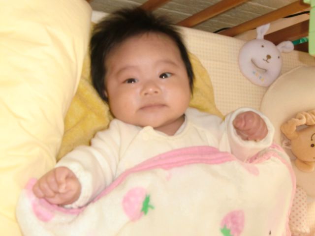 長寿の知恵袋で速過ぎるネット社会の仲間入りをしたい思いで着いていく