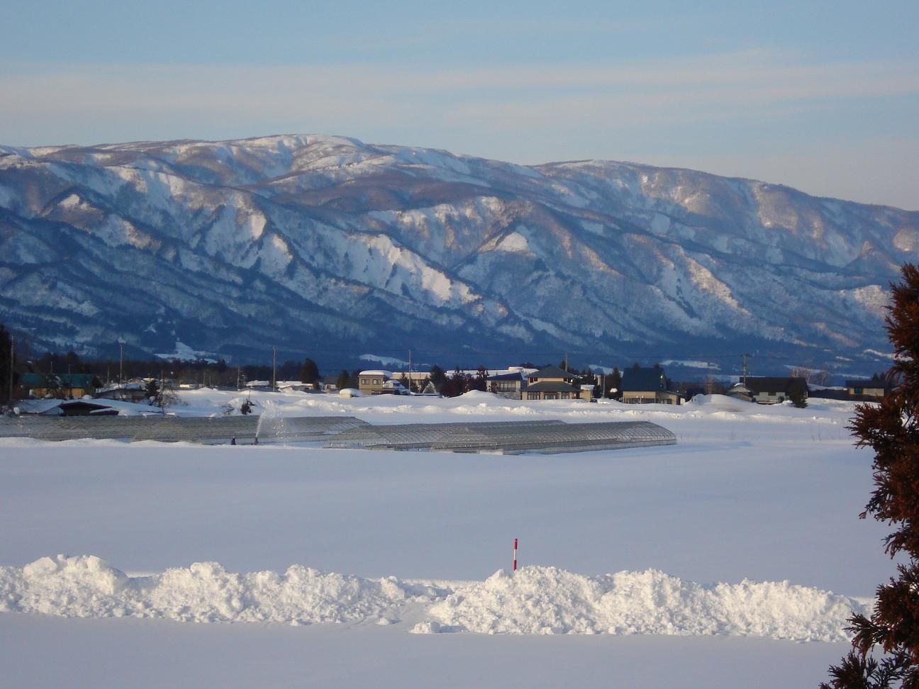 まさかの日本列島全体を揺るがす巨大地震。比較的安全な山形に避難を